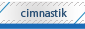 Cimnastik