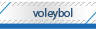 Voleyvol